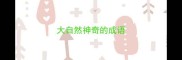大自然神奇的成语