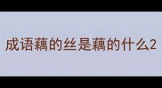 成语藕的丝是藕的什么