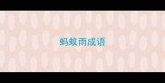 蚂蚁雨成语