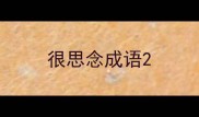 很思念成语