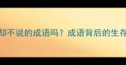 你知道这些知道却不说的成语吗成语背后的生存智慧与处世哲学