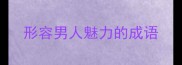 形容男人魅力的成语