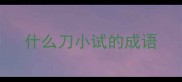 什么刀小试的成语