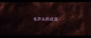 毛开头的成语