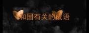 和国有关的成语