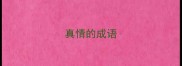 真情的成语