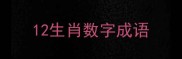 12生肖数字成语