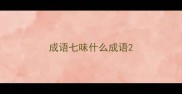 成语七味什么成语