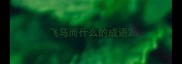 飞马而什么的成语