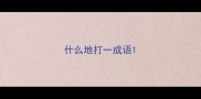 什么地打一成语