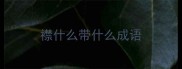 襟什么带什么成语