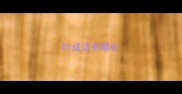 叶成语有哪些