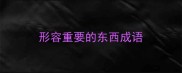 形容重要的东西成语