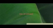 形容人学习好的成语