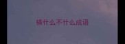 横什么不什么成语