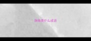珠暗是什么成语