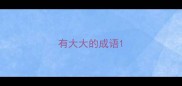 有大大的成语