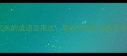 10个形容冗长的成语及用法高效写作必知的语言精简技巧