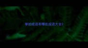 举的成语有哪些成语大全