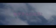独字开头的成语