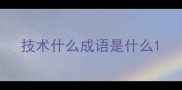 技术什么成语是什么