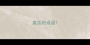 直言的成语