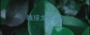 魄接龙成语