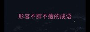 形容不胖不瘦的成语