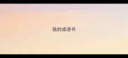 我的成语书