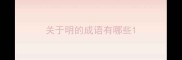 关于明的成语有哪些