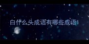 白什么头成语有哪些成语