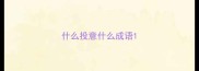 什么投意什么成语