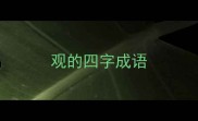 观的四字成语