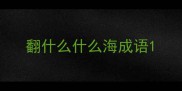 翻什么什么海成语