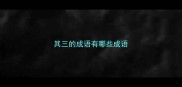 其三的成语有哪些成语