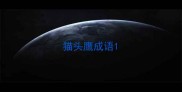 猫头鹰成语