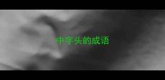 中字头的成语