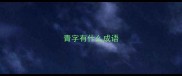 青字有什么成语