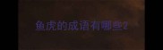 鱼虎的成语有哪些