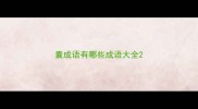 囊成语有哪些成语大全