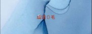 成语毛