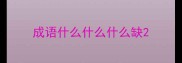 成语什么什么什么缺