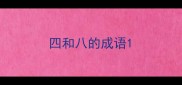 四和八的成语