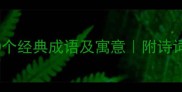 鸟与天相关的10个经典成语及寓意附诗词例子文化冷知识