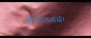 指什么人成语