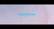 动物四字成语大全集