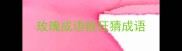 玫瑰成语疯狂猜成语