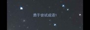 勇于尝试成语