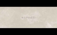 有法字的成语