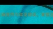 熄灯断火正确使用与常见错误掌握这个成语的精髓